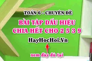 Bài tập về dấu hiệu chia hết cho 2, 5, 3, 9 và cách giải (chuẩn nhất)